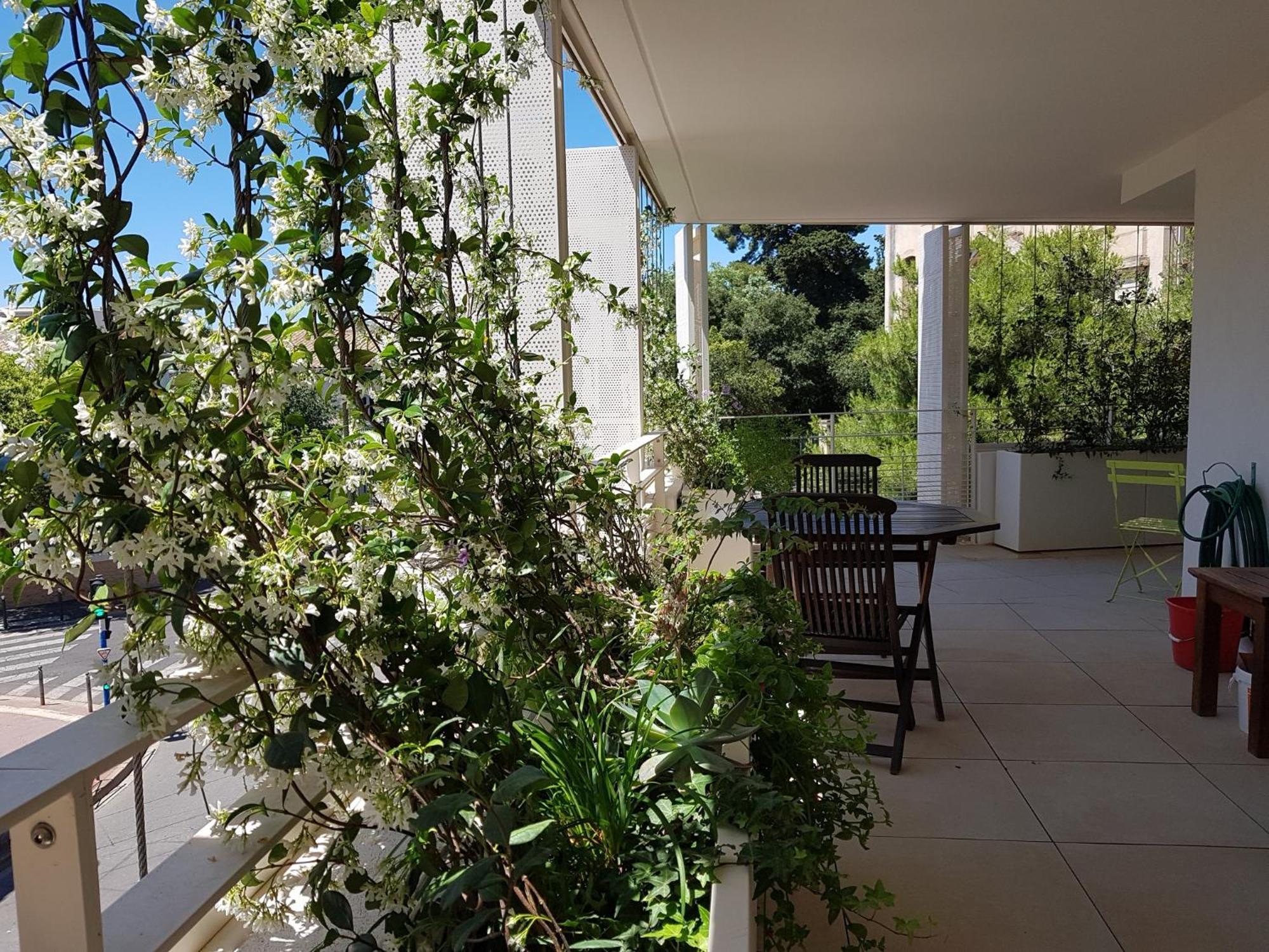 Appartement Centre Ville Beaux Arts 2 Personnes Calme Et Confort Montpellier Eksteriør bilde